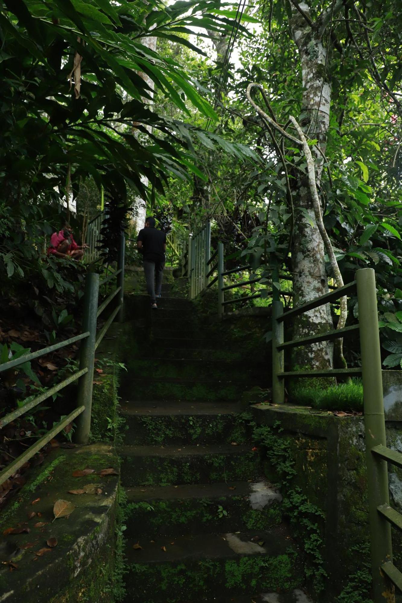 Nature Villa Anachal Kültér fotó